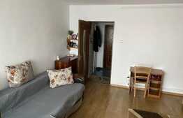 Garsoniera spatioasa in zona linistita, 30mp, etaj intermediar, zona Complex Diana