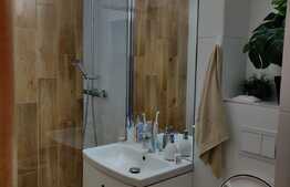 Garsoniera cu NISA de dormit, cocheta si moderna, aer conditionat, etaj intermediar, 32mp, zona Big