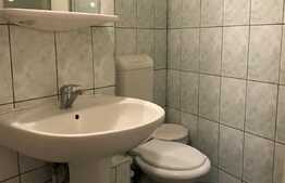 Garsoniera 22mp, pet friendly, zona strazii Izlazului