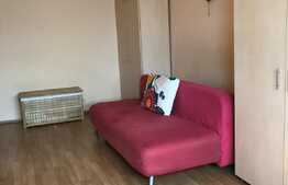Garsoniera 22mp, pet friendly, zona strazii Izlazului