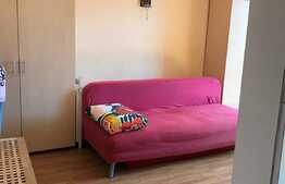 Garsoniera 22mp, pet friendly, zona strazii Izlazului