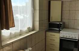 Garsoniera 22mp, pet friendly, zona strazii Izlazului