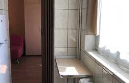 Garsoniera 22mp, pet friendly, zona strazii Izlazului