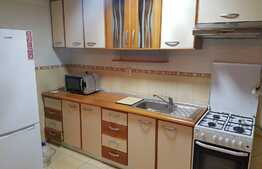 Apartament 2 camere, 55 mp, zona Avram Iancu