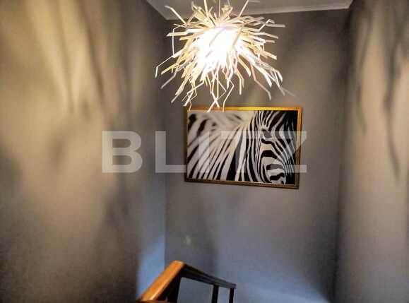 Casa de vânzare 5 camere Dambul Rotund - 57500CV | BLITZ Cluj-Napoca | Poza12