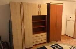 1 camera, 30 mp, pet friendly, bloc nou, zona strazii Teodor Mihaly
