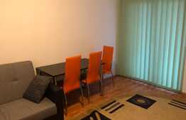 1 camera, 30 mp, pet friendly, bloc nou, zona strazii Teodor Mihaly