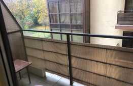 1 camera, 30 mp, pet friendly, bloc nou, zona strazii Teodor Mihaly