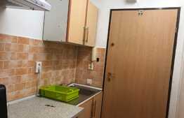 1 camera, 30 mp, pet friendly, bloc nou, zona strazii Teodor Mihaly