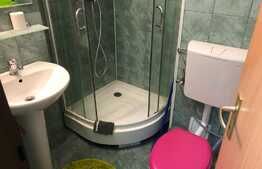 1 camera, 30 mp, pet friendly, bloc nou, zona strazii Teodor Mihaly