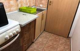 1 camera, 30 mp, pet friendly, bloc nou, zona strazii Teodor Mihaly