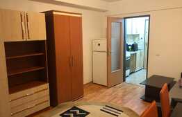 1 camera, 30 mp, pet friendly, bloc nou, zona strazii Teodor Mihaly