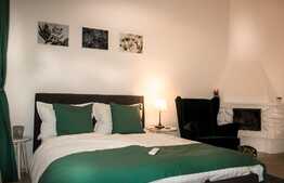 Apartament cochet cu nisa de dormit, 27 mp, zona Eroilor.Disponibil cu 15 Decembrie