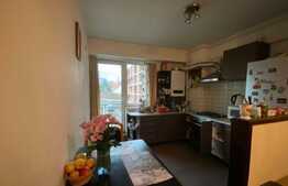 Apartament 2 camere, 47 mp, zona strazii Teodor Mihali