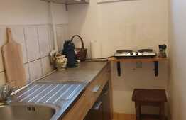 Apartament 2 camere, 30 mp, zona strazii Albac