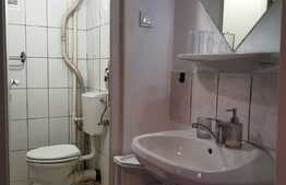 Apartament 2 camere, 30 mp, zona strazii Albac