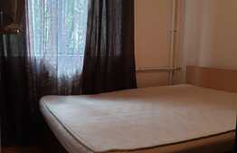 Apartament 2 camere, 30 mp, zona strazii Albac