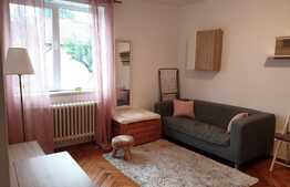 Apartament 2 camere, 30 mp, zona strazii Albac