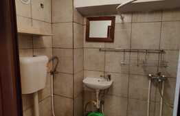 Garsoniera la curte 23mp + teren 80mp + boxa 4mp, centrala proprie, zona Fabricii