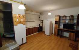 Garsoniera la curte 23mp + teren 80mp + boxa 4mp, centrala proprie, zona Fabricii