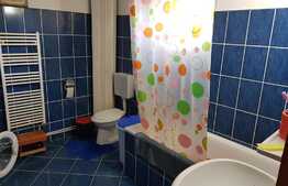 Casa individuala, 162 mp utili, 2100 mp teren, Exterior Est