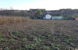 Casa individuala, 162 mp utili, 2100 mp teren, Exterior Est