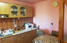 Casa individuala, 162 mp utili, 2100 mp teren, Exterior Est