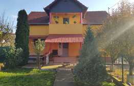 Casa individuala, 162 mp utili, 2100 mp teren, Exterior Est