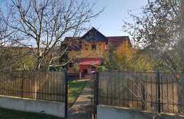 Casa individuala, 162 mp utili, 2100 mp teren, Exterior Est