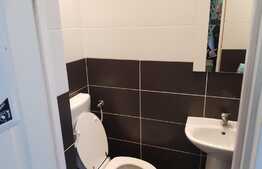 Oportunitate business, 1 garsoniera + office la strada, curte comuna, 32.6 mp, semicentral