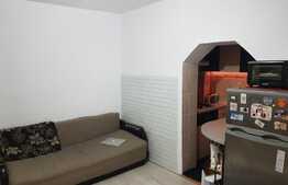 Oportunitate business, 1 garsoniera + office la strada, curte comuna, 32.6 mp, semicentral