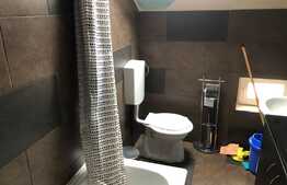 Apartament 2 camere, 45 mp, pet friendly, zona strazii C. Brancusi