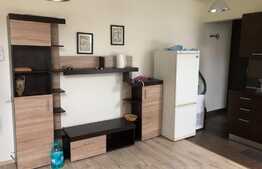 Apartament 2 camere, 45 mp, pet friendly, zona strazii C. Brancusi