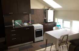 Apartament 2 camere, 45 mp, pet friendly, zona strazii C. Brancusi