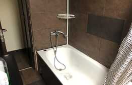 Apartament 2 camere, 45 mp, pet friendly, zona strazii C. Brancusi