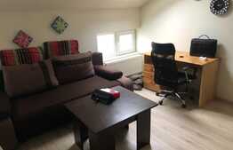 Apartament 2 camere, 45 mp, pet friendly, zona strazii C. Brancusi