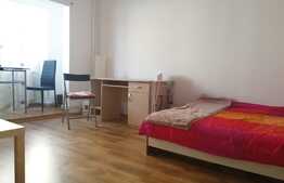 Apartament proaspat renovat cu o camera in zona strazii Zorilor