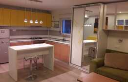 Apartament 1 camera, mobilat modern, 32 mp, zona UMF