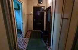 Oportunitate ! 3 camere, 66 mp, parter inalt, balcon, renovabil, zona Grigore Alexandrescu