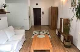 Apartament 1 camera cu nisa de dormit, 45 mp, zona strazii Edgar Quinet