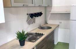 Apartament 1 camera cu nisa de dormit, 45 mp, zona strazii Edgar Quinet