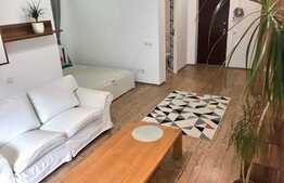 Apartament 1 camera cu nisa de dormit, 45 mp, zona strazii Edgar Quinet