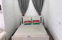 Apartament 1 camera cu nisa de dormit, 45 mp, zona strazii Edgar Quinet