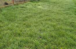 Casa individuala de 90mp cu panorama spre lac, teren aferent de 610 mp