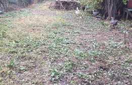 Casa renovabila si mansardabila 70 mp, 490 mp teren, zona de case!