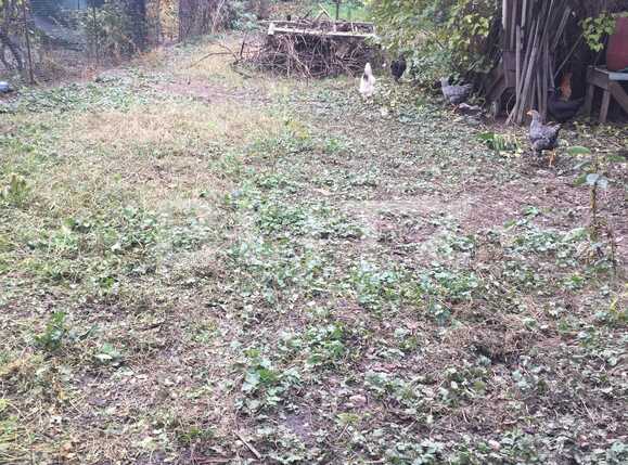 Casa de vânzare 2 camere Iris - 57592CV | BLITZ Cluj-Napoca | Poza2