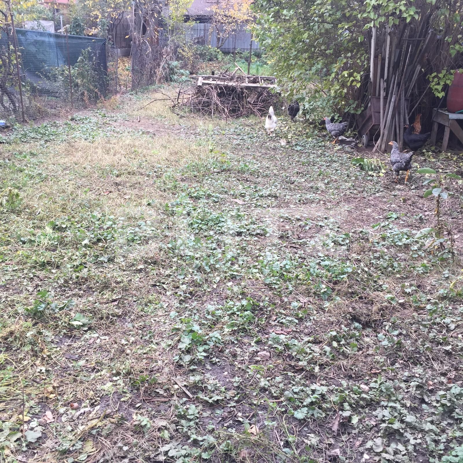 Casa de vânzare 2 camere Iris - 57592CV | BLITZ Cluj-Napoca | Poza2