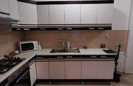 Apartament cu 2 camere, 38 de mp, terasa, zona strazii Byron