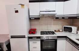 Apartament cu 2 camere, 38 de mp, terasa, zona strazii Byron