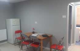 Apartament 2 camere complet renovat in Manastur 